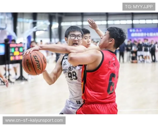 篮球运动在中国社会治理创新实验区中的实践路径，篮球运动在中国的现状